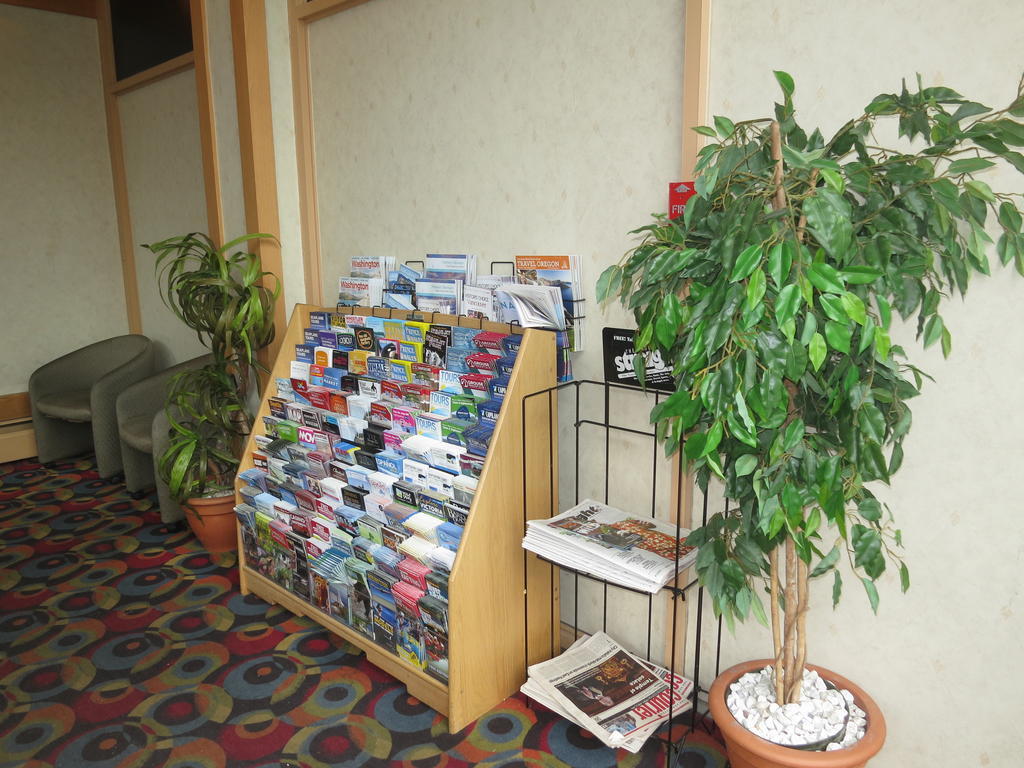 וונקובר Tropicana Suite Hotel מראה חיצוני תמונה